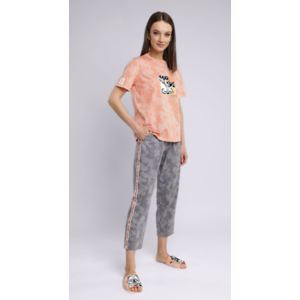 Комплект (джемпер/брюки) CLEVER LP23-1037/2, Цвет св.розовый/св.серый