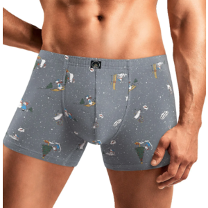 Трусы CLEVER CLE MSH421241, Цвет серый/голубой