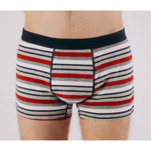 Трусы боксеры INDEFINI, Цвет 1154MUB